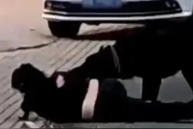 湖南湘潭烈性犬咬伤行人，狗主人曾被要求拴狗绳置之不理要判刑不图片