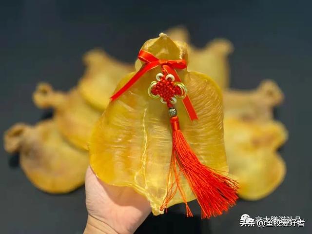 花胶鲍鱼炖好还是煲好 花胶和鲍鱼煲汤材料