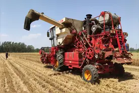 小麦成熟之际，田间却被人插钢筋，收割机受损，3种情况令人气愤图片