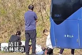 东北旅游大巴抛锚，全下车挖婆婆丁，树杈子挖外套装，没人怨司机图片
