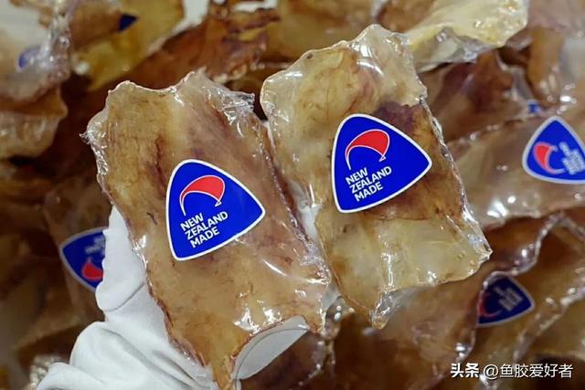 鳕鱼胶主要功效 2026年鳕鱼胶主要功效是什么