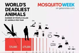 猛兽为何很少袭击人类？难道人类有它们惧怕的东西？图片