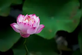 你的名字，多半决定了你是富贵命，还是穷人命图片