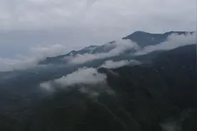 在百花深处 重构一个豹家园图片