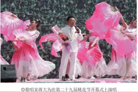【历届桃花会纪实】安宁区第二十九届桃花会盛况图片