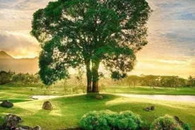 永恒的识人艺术：1、嘴巴大的女人通常更受男人喜欢图片