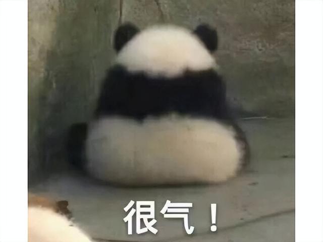 脸都不要了！魔兽12.0再次吃书，这下连艾泽拉斯女神都没了