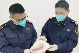 广州海关查获女王凤凰螺！3斤重比脸大，竟是巴哈马天然“伟哥”图片