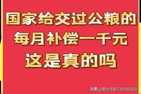 交过公粮的农民有福啦，国家每月补偿1000元？这是真的吗？图片