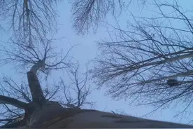 一日一字一词一成语图片