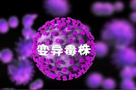 苏州发现新变异株，与全球已知病毒不同源，是否更危险？听专家说图片