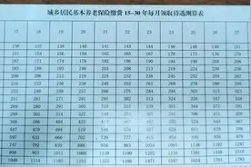 广西壮族自治区城乡居民养老保险待遇测算图片