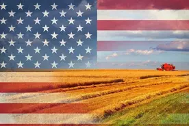 对比中美农作物亩产量：美国农业发展较领先，生产水平强在哪里？图片