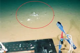 一万多米深的马里亚纳海沟深处，人类最不希望看到的东西，出现了图片