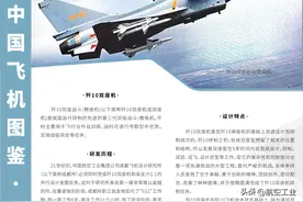 中国飞机图鉴 | 歼10双座机：双座战斗/教练机图片
