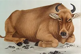 算命先生说，农历这几月出生的人最好命，不是富翁就是财主图片