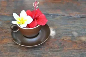 不再联系，却天天想你，今生无缘夫妻，也永远无法忘记图片