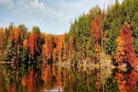 20句闲适安逸、惬意自在的绝美诗词，读来非常解压图片