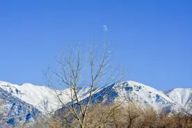 白天什么情况下可以看见月亮？图片