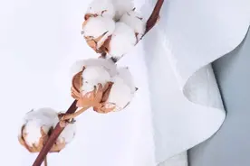 毛巾脏了还用开水烫？教你妙招，洗完柔软又干净图片