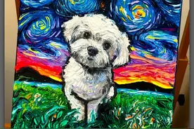 艺术｜她“搬运”梵高的星空，却创作出如此艳丽又治愈的作品！图片