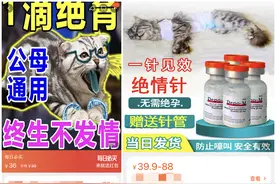 起底“一滴绝育”的宠物禁情药 给宠物做绝育手术有必要吗？图片