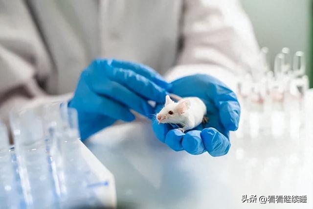 连续烧了两天了怎么办
