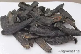 破血通经之水蛭图片