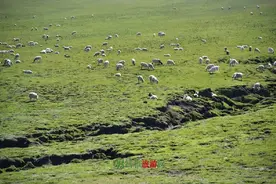 青海省地名与行政区划图片