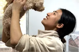 90后夫妻一天煮108桶米饭喂食1400只流浪狗：希望它们找到幸福的家图片