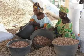 冈比亚：一个自称能在三天内推平苏联，一天内占领中国的嘴炮国家图片