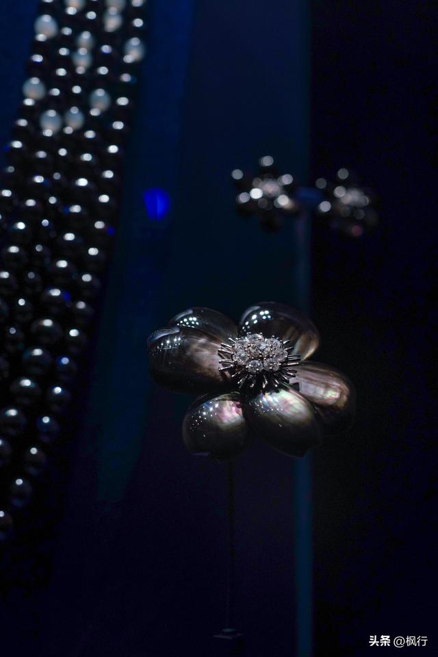 꾭䣬ʱű龭ѴչӭɫйϦ