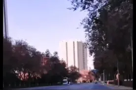 《秋天的一棵树》图片