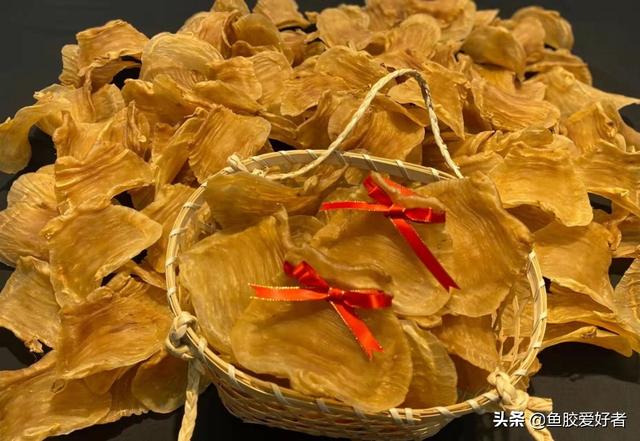 花胶炖化了是假的吗 2026年花胶炖融化了是假的吗