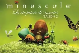 推荐5部适合亲子共赏的动物纪录片，让孩子爱上大自然图片