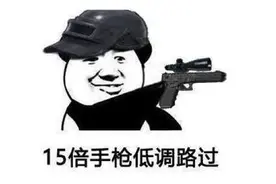 为了看这游戏的击杀镜头，我成为了二战精英狙击手图片