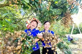 和孩子一起学文言文（66）——唱龙眼图片