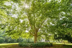 青春不被定义！华政人坚持热爱！图片