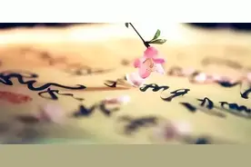 赏读｜最美唐诗，诗短情长图片