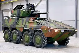 德国“拳师犬”装甲运兵车图片