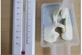 钟薛高发声明：这不科学图片