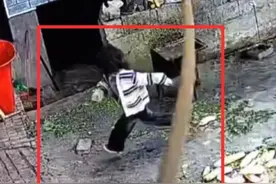 6岁女孩引爆手榴弹，家属透露病情，深扒手榴弹来源，发现不简单图片