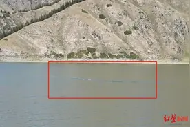 游客在天山天池拍到“水怪”？天池管委会：已开展调查，更可能是波浪图片