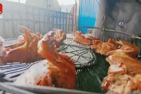 吃坑烤、赢年猪！明天，就来大庆龙凤铁东村！图片