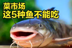 我也是今天才知道，菜市场这5种鱼很脏，很多人都在买，建议不买图片