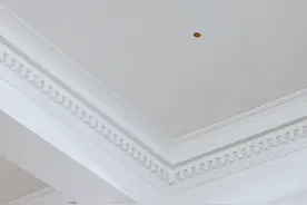 就离谱！被甩到天花板上的酸黄瓜，成了价值4万多的艺术品图片