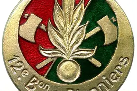 法国军队各类标识：外籍军团（2）图片