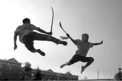 杨式太极双雄：杨澄甫和傅钟文图片