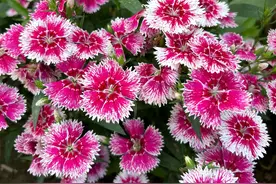 于姐今年48岁，总怀疑丈夫外面有人了，我教她通过3点就可以验证图片