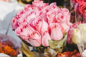 深圳本地人才知道的，五大超值花卉市场！图片